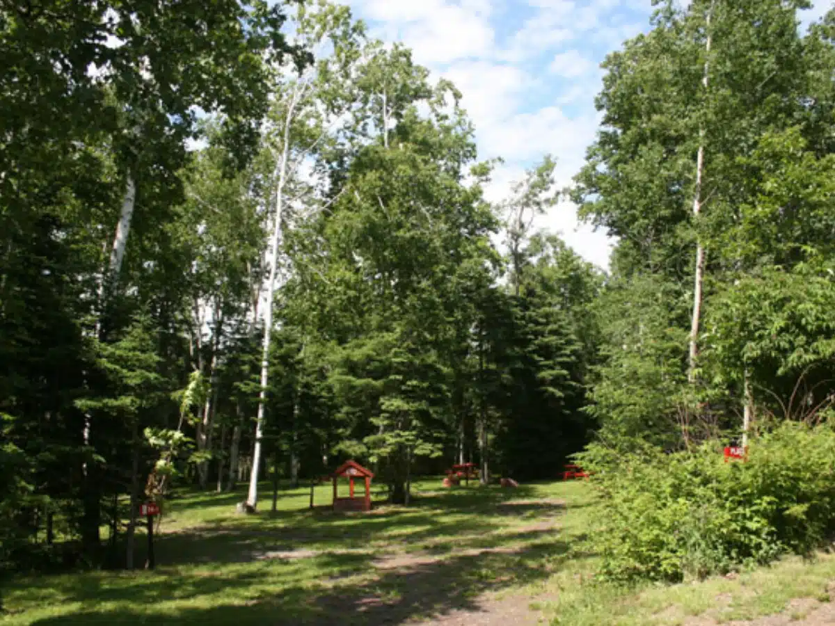 Camping des Aulnaies - Camping 1200x900-Max-Quality